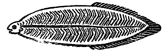 «Кто-то» на дереве - i_008.png