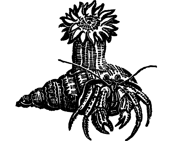 «Кто-то» на дереве - i_010.png