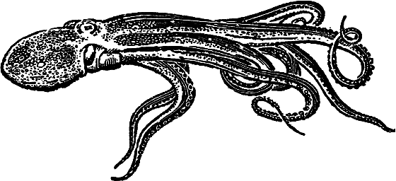 «Кто-то» на дереве - i_011.png