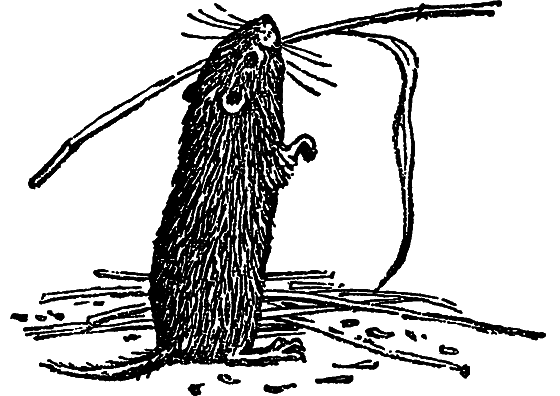 «Кто-то» на дереве - i_014.png