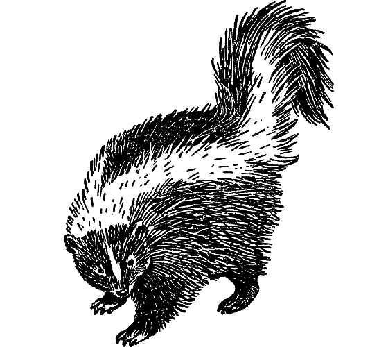 «Кто-то» на дереве - i_021.png