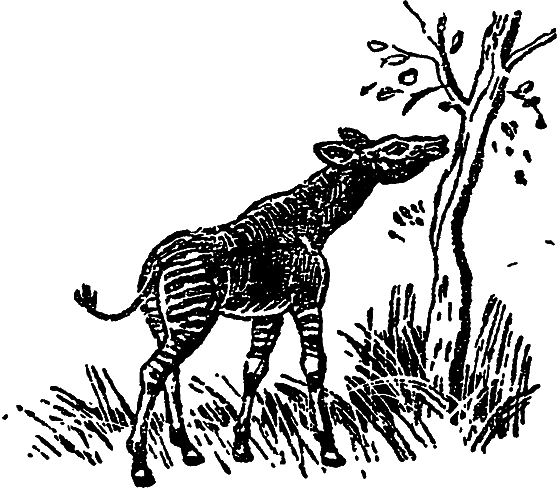 «Кто-то» на дереве - i_022.png