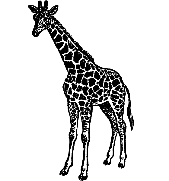 «Кто-то» на дереве - i_023.png