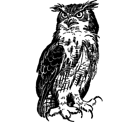 «Кто-то» на дереве - i_027.png