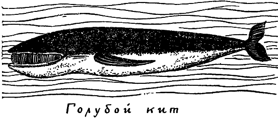 «Кто-то» на дереве - i_032.png