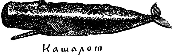 «Кто-то» на дереве - i_034.png