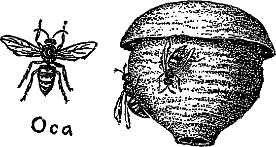 «Кто-то» на дереве - i_061.png