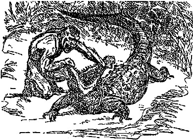 Недостающее звено - i_004.jpg