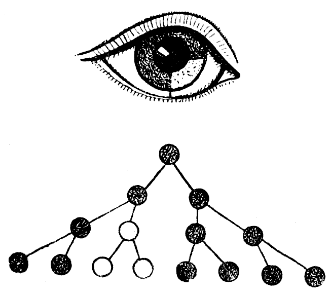 Мы и её величество ДНК - img_49.png