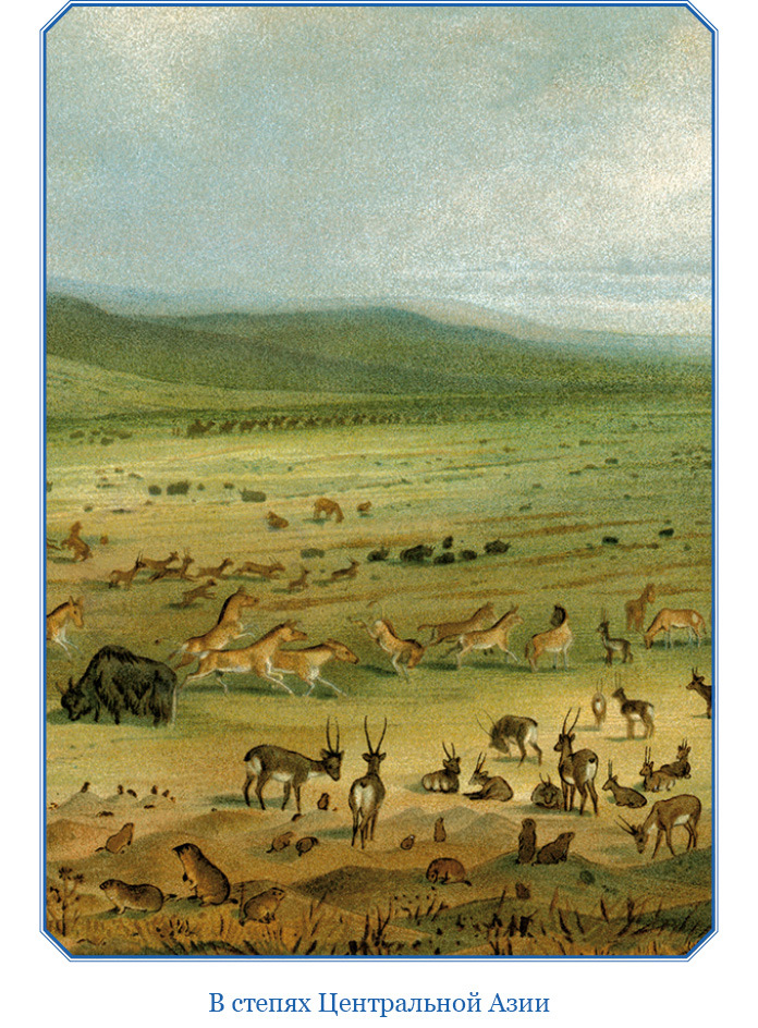 Книга чудес света - i_016.jpg