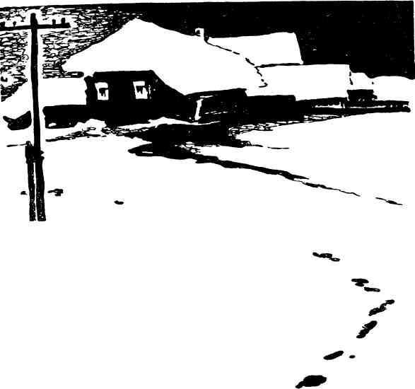 Выстрел на окраине - img_7.jpg