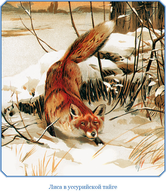 Путешествия в Центральную Азию - i_011.jpg