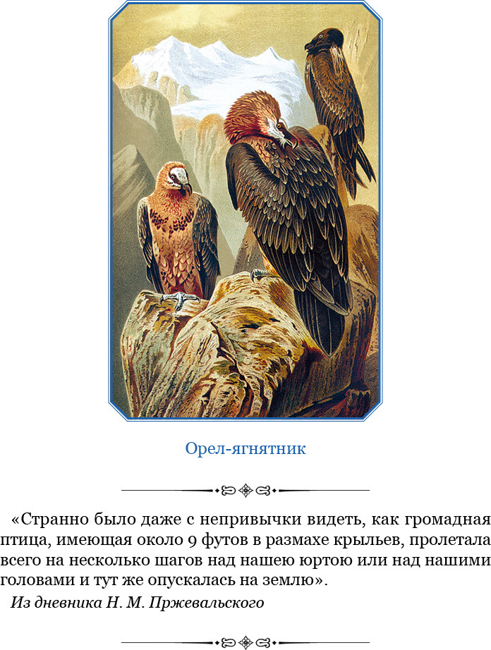 Путешествия в Центральную Азию - i_028.jpg