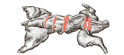 Сам себе шеф-повар. Как научиться готовить без рецептов - i_011.png