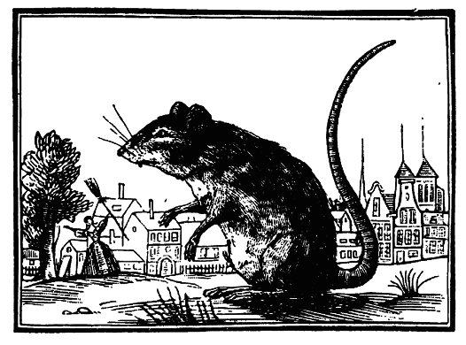 Шельмуфский - pic_3.png