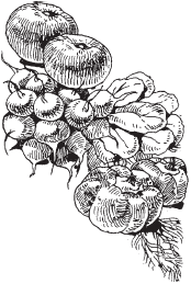 Огород и сад для лентяев - _00.png