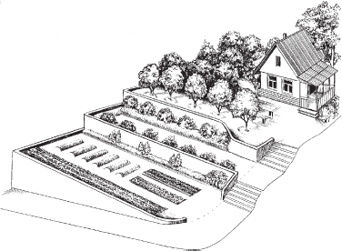 Огород и сад для лентяев - _01.png