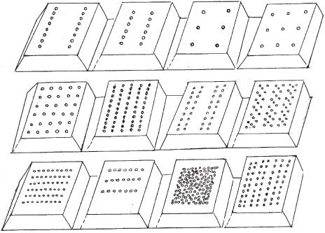 Огород и сад для лентяев - _16.png