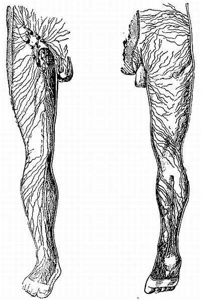 Спортивный массаж - _08.jpg