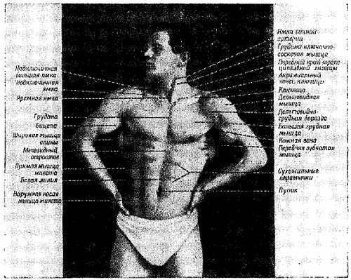 Спортивный массаж - _94.jpg