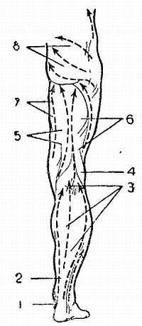 Спортивный массаж - _101.jpg