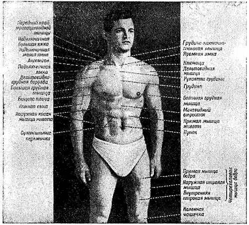 Спортивный массаж - _95.jpg