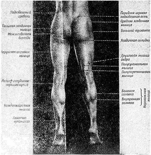 Спортивный массаж - _99.jpg