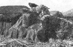 Стальной кулак Сталина. История советского танка 1943-1955 - _278.jpg