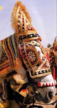 Национальные украшения лошадей - _01.jpg