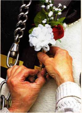 Национальные украшения лошадей - _02.jpg