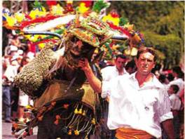 Национальные украшения лошадей - _04.jpg