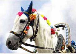 Национальные украшения лошадей - _05.jpg
