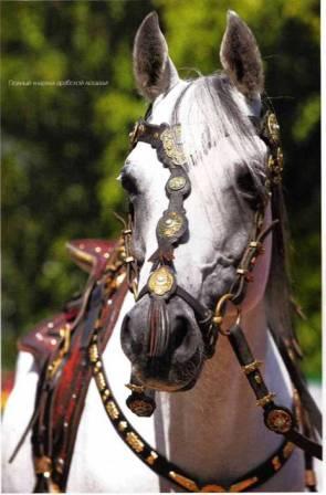 Национальные украшения лошадей - _09.jpg