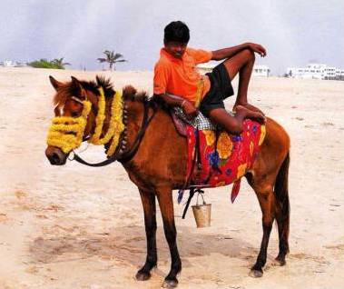 Национальные украшения лошадей - _10.jpg