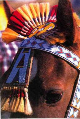 Национальные украшения лошадей - _11.jpg