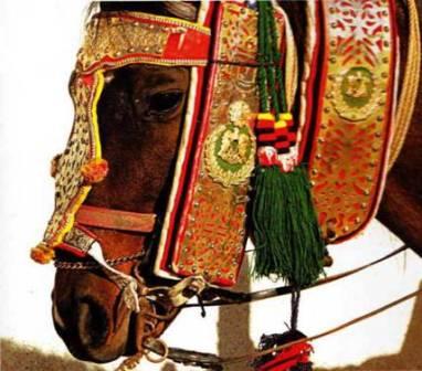 Национальные украшения лошадей - _14.jpg