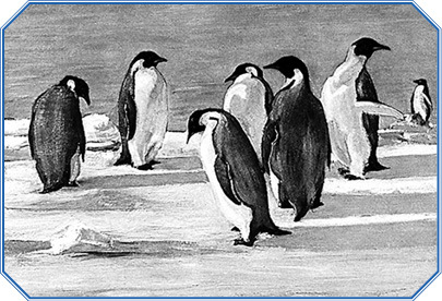 Дневник полярного капитана - i_143.jpg