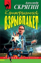 Контрольный взрывпакет, или Не сердите электрика! - автор Скрягин Александр 