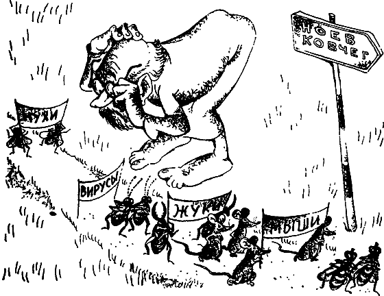 Беседы о вирусах (с илл.) - i_009.png