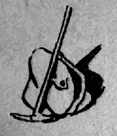 Тропою архаров - pic_20.png