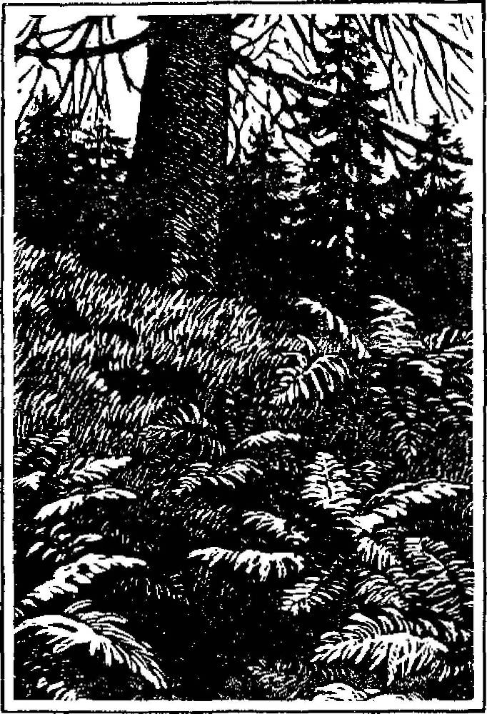 Прощание с миром - _4.jpg