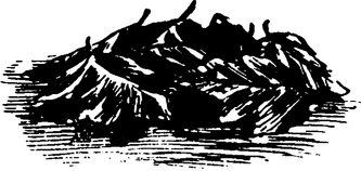 Грузинские блюда - _7.jpg