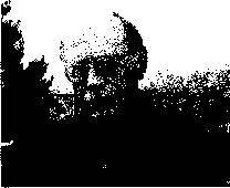 Голоса - _2.jpg