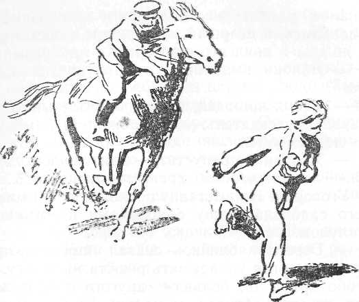 Антон и антоновка - i_006.jpg