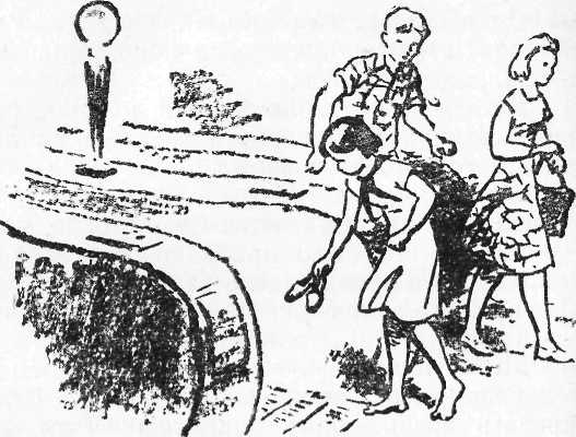 Антон и антоновка - i_012.jpg