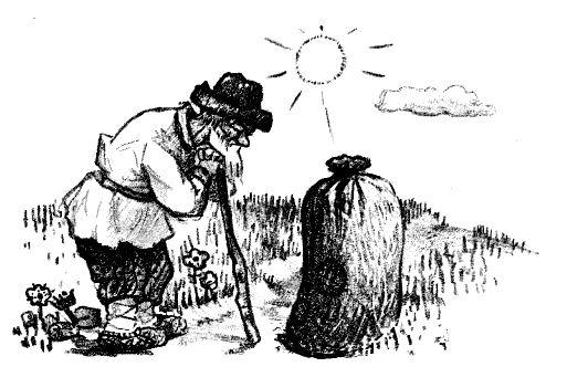 Дымок - pic_18.jpg