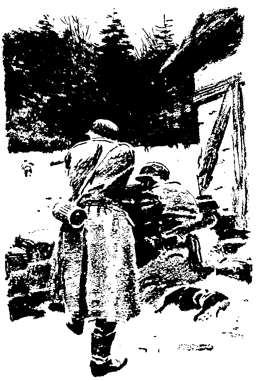 Смерть и жизнь рядом - pic_26.png