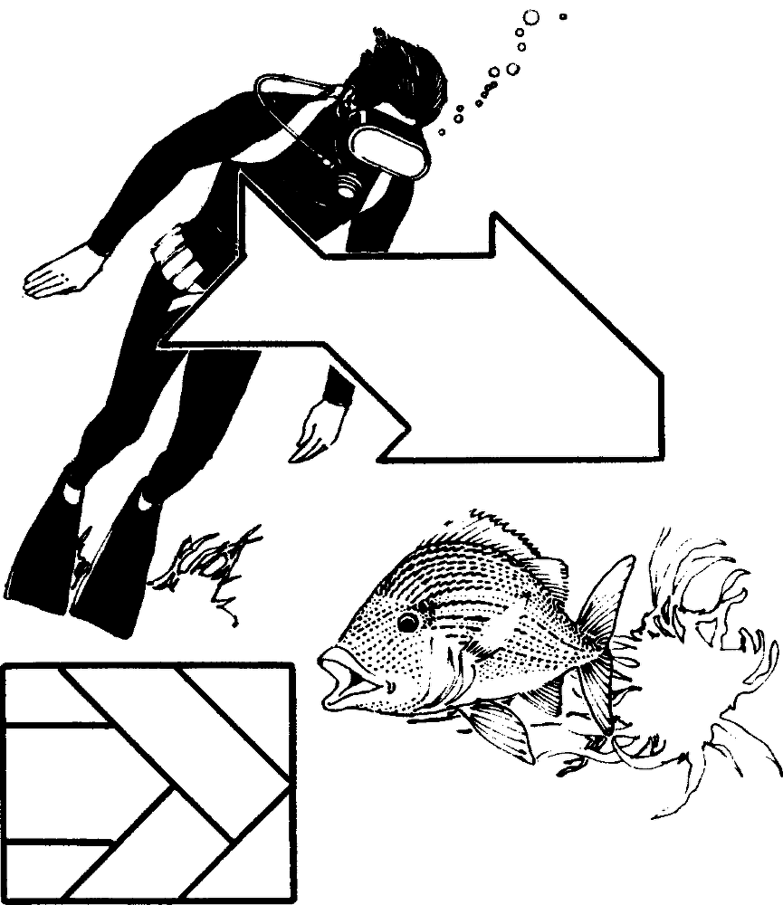 Звездные головоломки - img_33.png