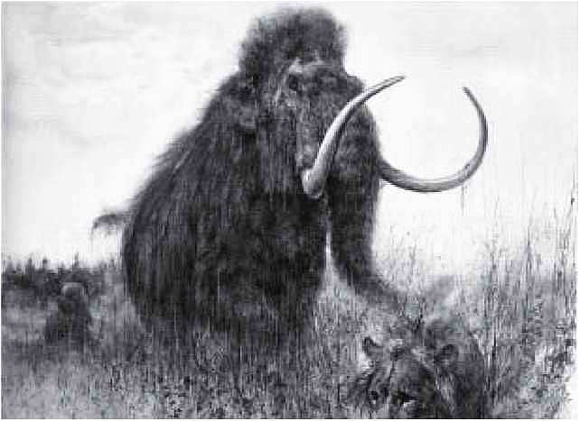 Мамонт - i_002.jpg