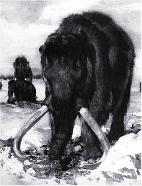 Мамонт - i_007.jpg